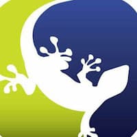 Gecko Teambuilding logo